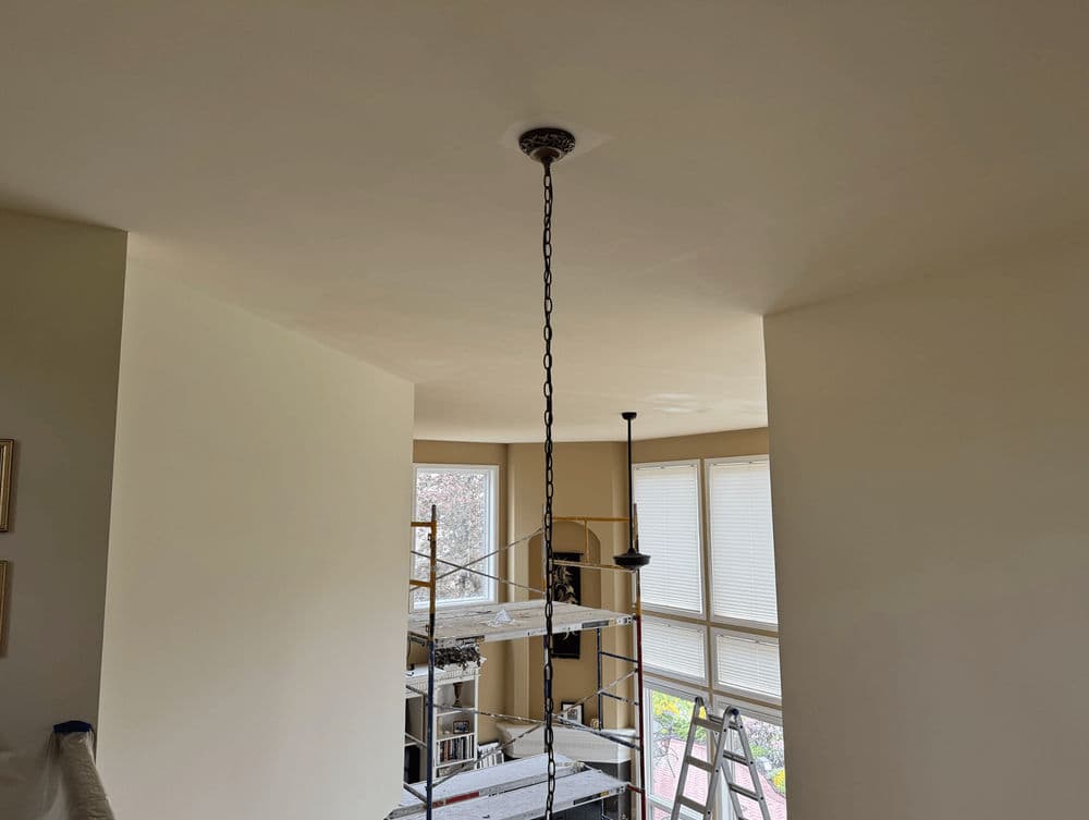 Project Ceiling Painting Project image